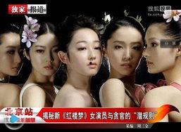 明星潜规则之皇梦九重笔趣阁 每天更新