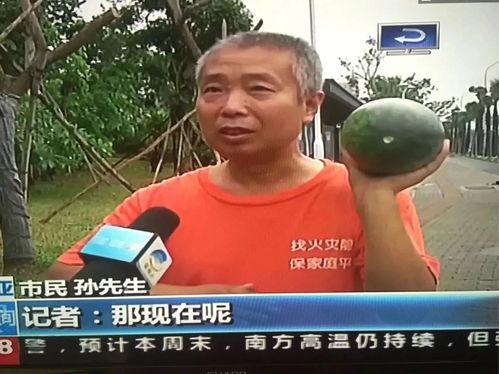 带你吃瓜 社会热点事件视频,揭秘社会热点事件背后的真相