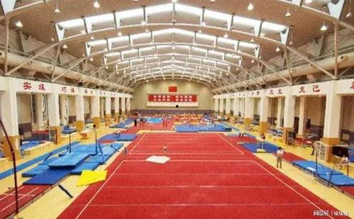 体育圈的天花板,巅峰时刻的辉煌与挑战