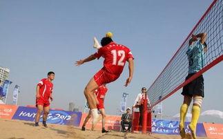 体育圈很乱天涯,乱象背后的真相与反思